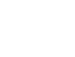 Cerebra-1111-logo2_2